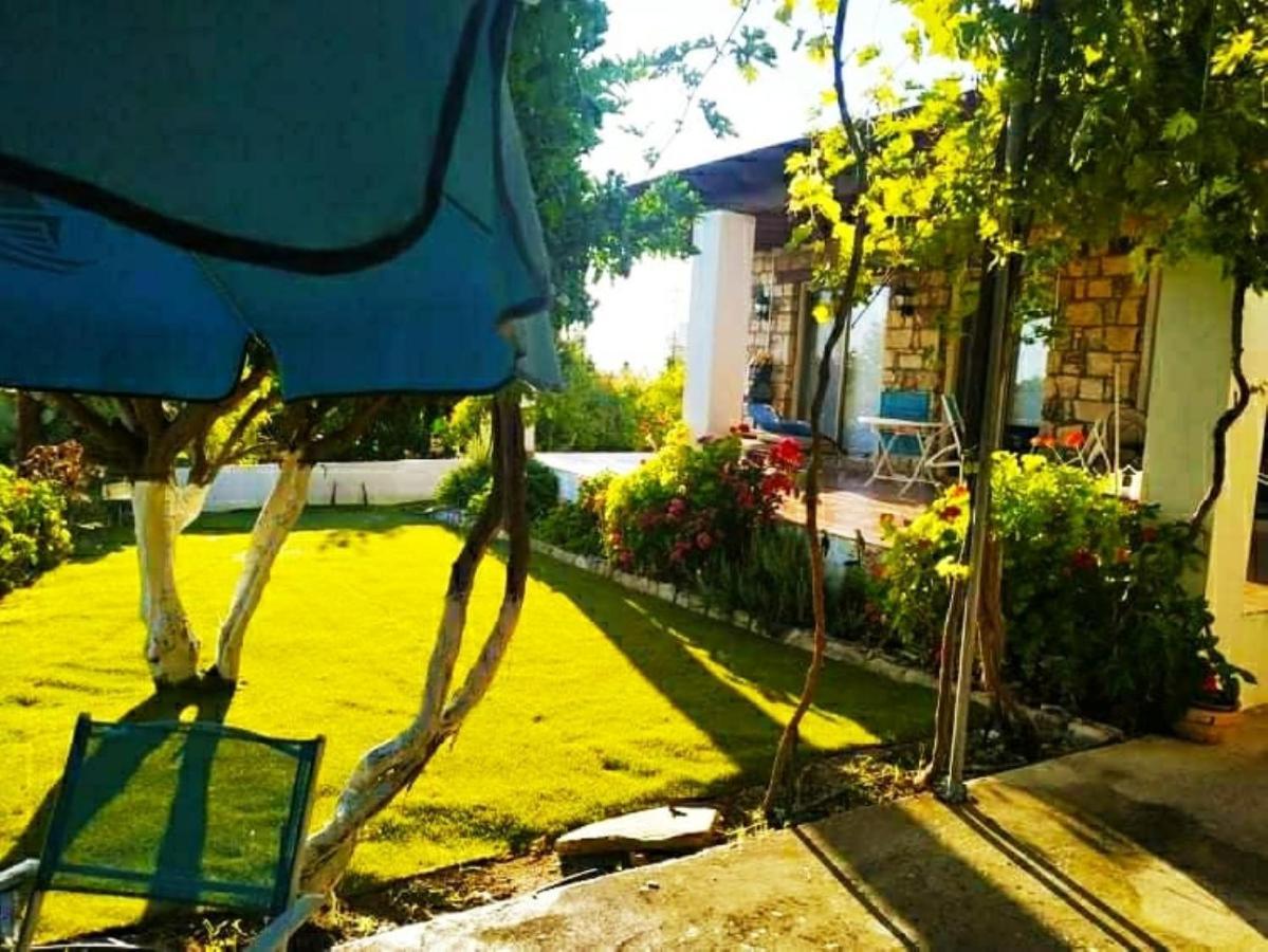Rustic Village Retreat Amargeti Εξωτερικό φωτογραφία